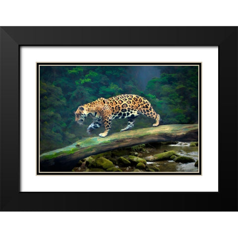 Brazil-Pantanal Abstract of jaguar walking on log Black Modern Wood Framed Art Print with Double Matting by Jaynes Gallery