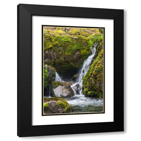 Within Parc Nacional Torres del Paine-there is a tropical rainforest  Black Modern Wood Framed Art Print with Double Matting by Ostrowitz, Mallorie