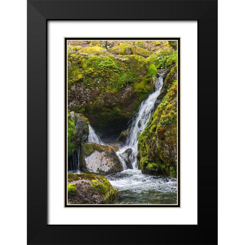 Within Parc Nacional Torres del Paine-there is a tropical rainforest  Black Modern Wood Framed Art Print with Double Matting by Ostrowitz, Mallorie