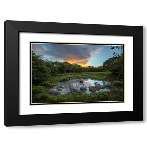 Galapagos giant tortoise gathering in small pond at sunset Genovesa Island-Galapagos Islands Black Modern Wood Framed Art Print with Double Matting by Jones, Adam