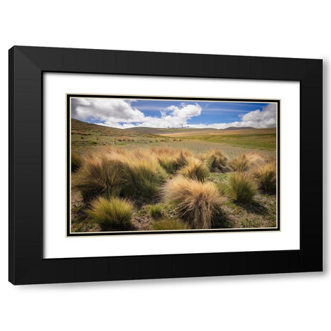 Paramo grass-Antisana Ecological Reserve-Ecuador Black Modern Wood Framed Art Print with Double Matting by Jones, Adam