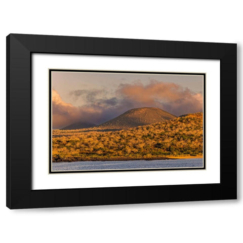 Santiago Island-Galapagos Islands-Ecuador Black Modern Wood Framed Art Print with Double Matting by Jones, Adam