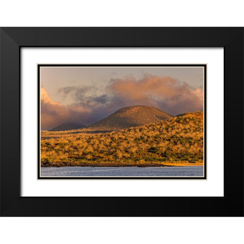 Santiago Island-Galapagos Islands-Ecuador Black Modern Wood Framed Art Print with Double Matting by Jones, Adam