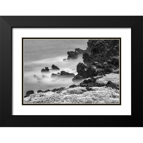 Rocky shoreline covered in Sesuvium-South Plaza Island-Galapagos Islands-Ecuador Black Modern Wood Framed Art Print with Double Matting by Jones, Adam