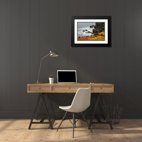 Rocky shoreline covered in Sesuvium-South Plaza Island-Galapagos Islands-Ecuador Black Modern Wood Framed Art Print with Double Matting by Jones, Adam