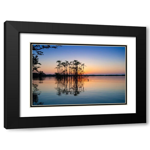Equator in the Amazon rainforest- Palm trees in Laguna Grande. Black Modern Wood Framed Art Print with Double Matting by Sederquist, Betty