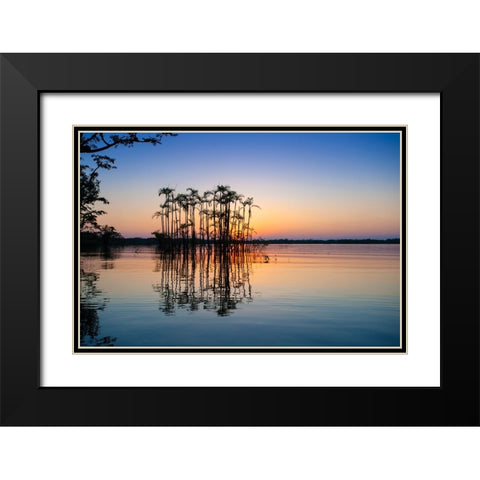 Equator in the Amazon rainforest- Palm trees in Laguna Grande. Black Modern Wood Framed Art Print with Double Matting by Sederquist, Betty