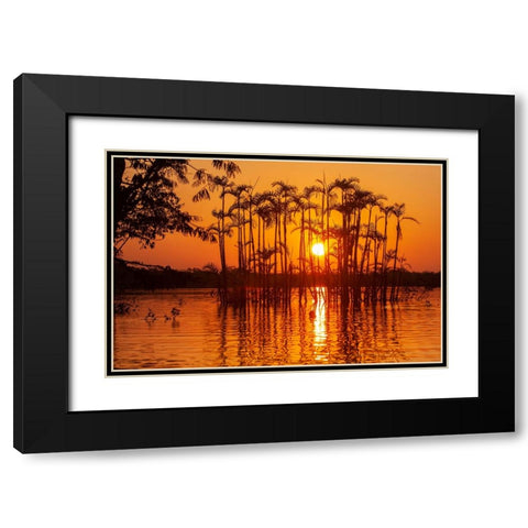 Equator in the Amazon rainforest- trees in Laguna Grande. Black Modern Wood Framed Art Print with Double Matting by Sederquist, Betty