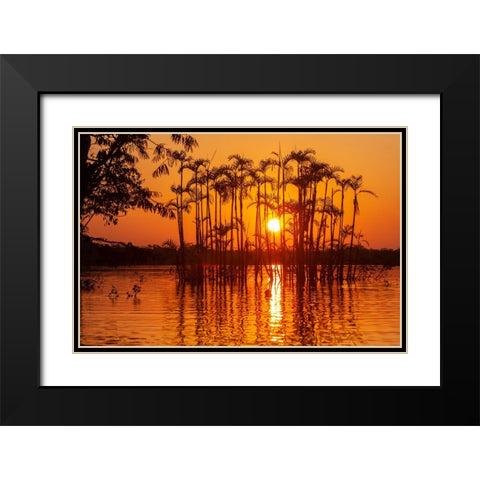 Equator in the Amazon rainforest- trees in Laguna Grande. Black Modern Wood Framed Art Print with Double Matting by Sederquist, Betty