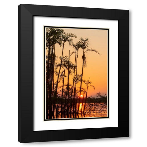 The sun sets at Latitude 0 during this equatorial sunset in the Amazon. Black Modern Wood Framed Art Print with Double Matting by Sederquist, Betty