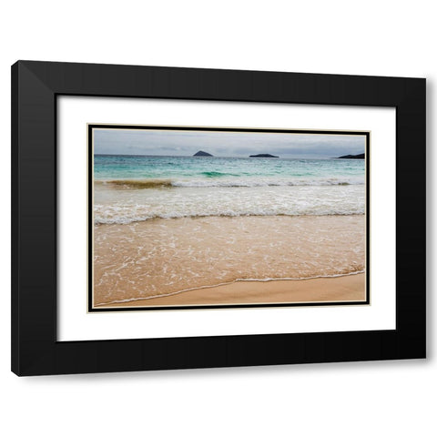 Floreana Island-Galapagos islands-Ecuador Black Modern Wood Framed Art Print with Double Matting by Pitamitz, Sergio