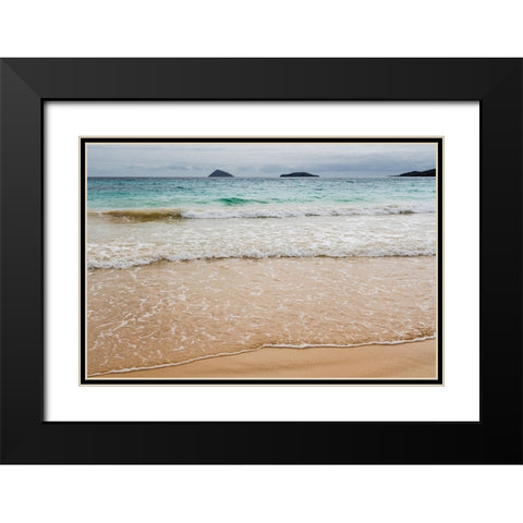 Floreana Island-Galapagos islands-Ecuador Black Modern Wood Framed Art Print with Double Matting by Pitamitz, Sergio