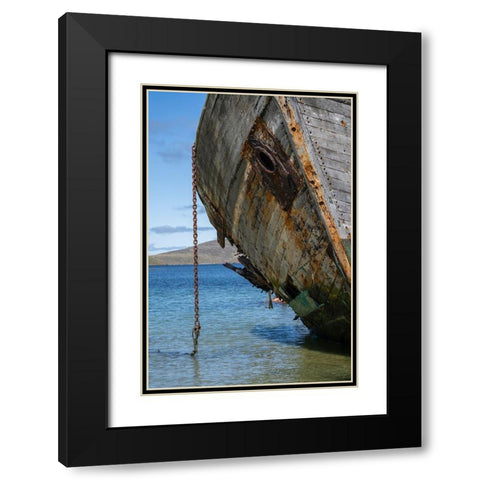 Falkland Islands-New Island Grounded and abandoned ship on shore  Black Modern Wood Framed Art Print with Double Matting by Jaynes Gallery