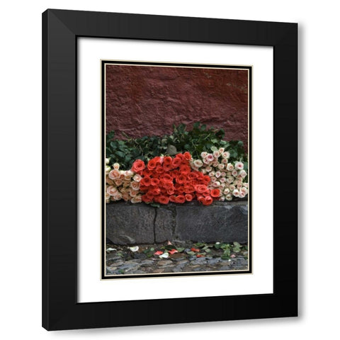 Mexico, San Miguel de Allende, Roses for sale Black Modern Wood Framed Art Print with Double Matting by Rotenberg, Nancy