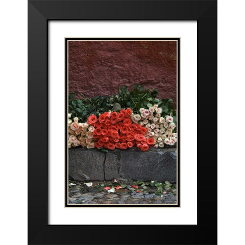 Mexico, San Miguel de Allende, Roses for sale Black Modern Wood Framed Art Print with Double Matting by Rotenberg, Nancy