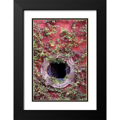 Mexico, Ivy on Stucco Wall with Tile Window Black Modern Wood Framed Art Print with Double Matting by Rotenberg, Nancy