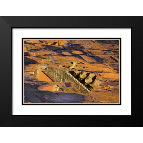 Mexico Cobblestone street with puddles of water Black Modern Wood Framed Art Print with Double Matting by Rotenberg, Nancy