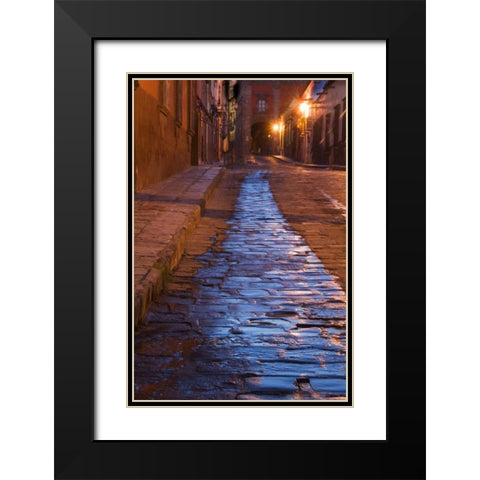 Mexico Streak of water on cobblestone street Black Modern Wood Framed Art Print with Double Matting by Rotenberg, Nancy
