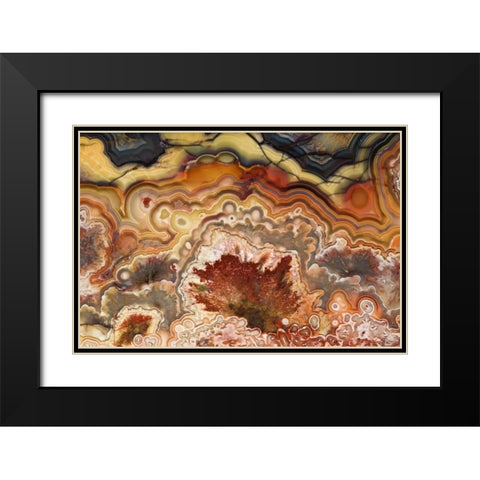 Mexico Close-up of Crazy Lace Agate stone Black Modern Wood Framed Art Print with Double Matting by Kirkland, Dennis