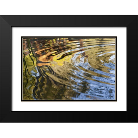 Mexico, Tecate Ripples in pool Black Modern Wood Framed Art Print with Double Matting by Paulson, Don