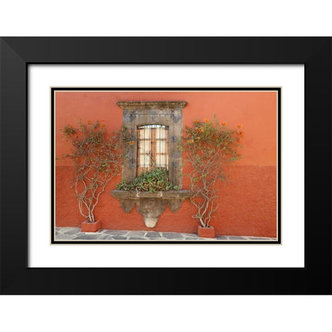 Mexico, San Miguel de Allende Window and plants Black Modern Wood Framed Art Print with Double Matting by Paulson, Don