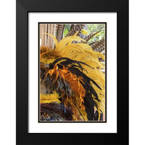 Mexico, San Miguel de Allende Aztec headdress Black Modern Wood Framed Art Print with Double Matting by Paulson, Don