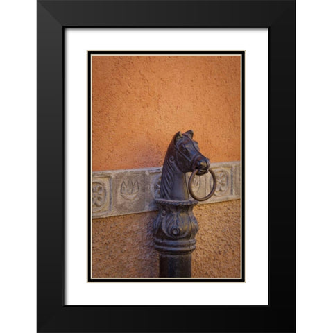 Mexico Horse ring, Guanajuato, Mexico Black Modern Wood Framed Art Print with Double Matting by Paulson, Don