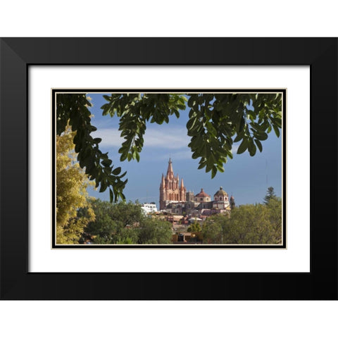 Mexico La Parroquia cathedral Black Modern Wood Framed Art Print with Double Matting by Paulson, Don