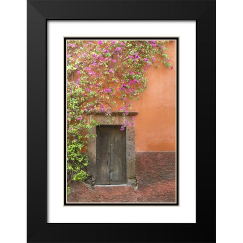 Mexico Bougainvillea outside wooden doorway Black Modern Wood Framed Art Print with Double Matting by Paulson, Don
