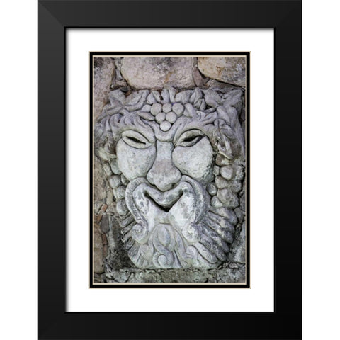 Mexico Detail of lion sculpture Black Modern Wood Framed Art Print with Double Matting by Paulson, Don