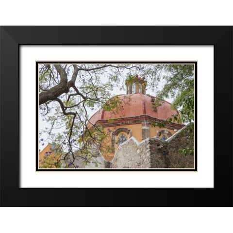 Mexico View of San Juan de Dios church Black Modern Wood Framed Art Print with Double Matting by Paulson, Don