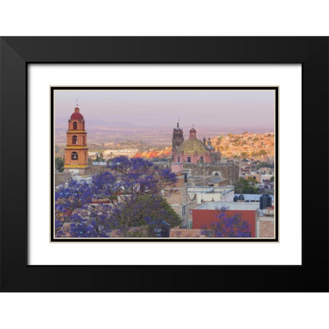Mexico, San Miguel de Allende Jacaranda and city Black Modern Wood Framed Art Print with Double Matting by Paulson, Don