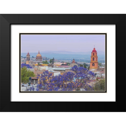 Mexico, San Miguel de Allende Jacaranda and city Black Modern Wood Framed Art Print with Double Matting by Paulson, Don