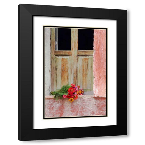 Mexico Zinnias outside window frame Black Modern Wood Framed Art Print with Double Matting by Rotenberg, Nancy