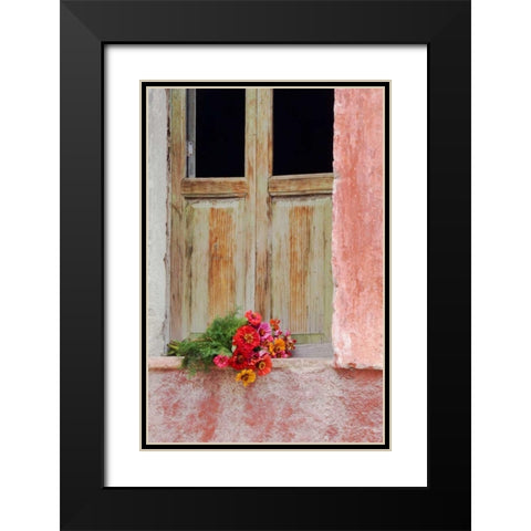 Mexico Zinnias outside window frame Black Modern Wood Framed Art Print with Double Matting by Rotenberg, Nancy