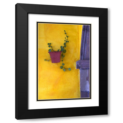 Mexico, San Miguel de Allende Planted pot Black Modern Wood Framed Art Print with Double Matting by Rotenberg, Nancy