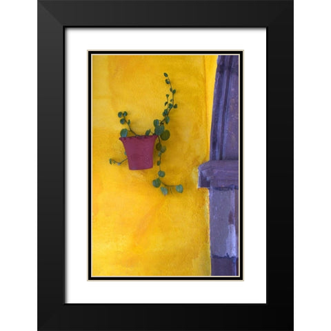 Mexico, San Miguel de Allende Planted pot Black Modern Wood Framed Art Print with Double Matting by Rotenberg, Nancy
