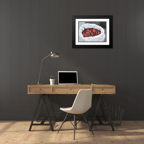 Mexico, Sierra Madre Mts Raw coffee beans in bag Black Modern Wood Framed Art Print with Double Matting by Ross, Steve