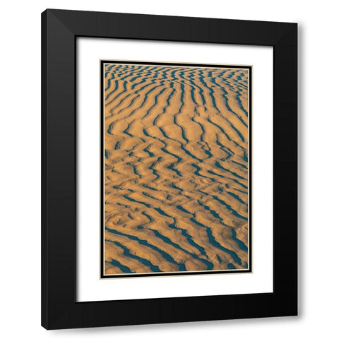 Guerrero Negro- Mulege- Baja California Sur- Mexico. Sand dunes at sunset along the western coast. Black Modern Wood Framed Art Print with Double Matting by Wilson, Emily M.