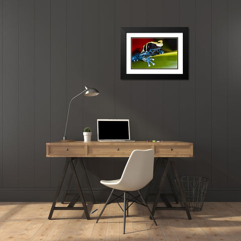 Republic of Surinam Poison dart frog on leaf Black Modern Wood Framed Art Print with Double Matting by Zuckerman, Jim