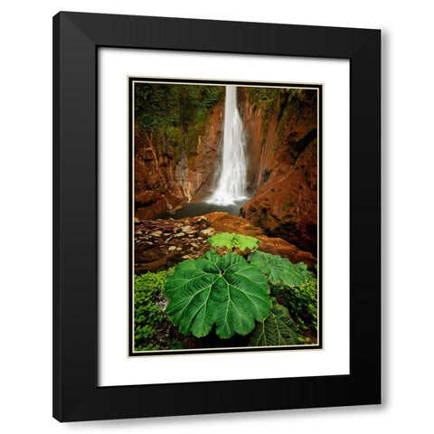 Catarata Del Toro Waterfall-in the mountains of Bajos del Toro Amarillo-Sarchi-Costa Rica Black Modern Wood Framed Art Print with Double Matting by Jones, Adam