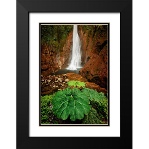 Catarata Del Toro Waterfall-in the mountains of Bajos del Toro Amarillo-Sarchi-Costa Rica Black Modern Wood Framed Art Print with Double Matting by Jones, Adam