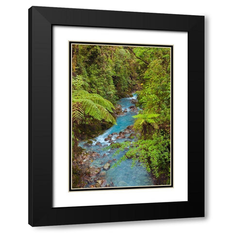 Small stream or creek-Costa Rica Black Modern Wood Framed Art Print with Double Matting by Jones, Adam