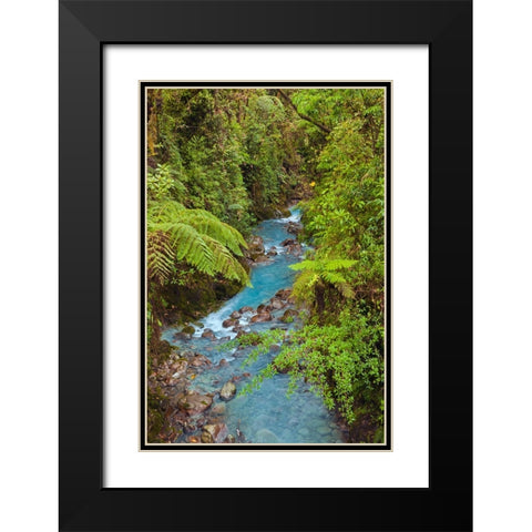 Small stream or creek-Costa Rica Black Modern Wood Framed Art Print with Double Matting by Jones, Adam
