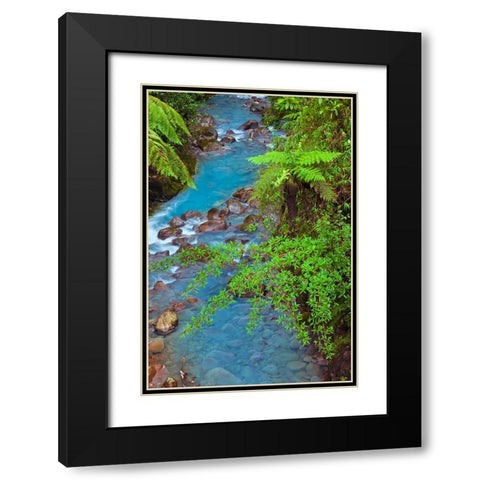 Small stream or creek-Costa Rica Black Modern Wood Framed Art Print with Double Matting by Jones, Adam