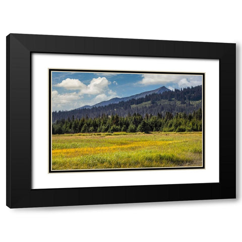 Meadow and mountains at Silver Salmon Creek-Lake Clark National Park and Preserve-Alaska Black Modern Wood Framed Art Print with Double Matting by Jones, Adam