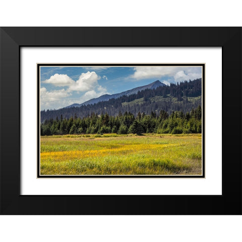 Meadow and mountains at Silver Salmon Creek-Lake Clark National Park and Preserve-Alaska Black Modern Wood Framed Art Print with Double Matting by Jones, Adam