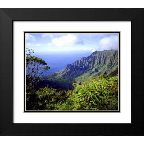 USA, Kauai, Hawaii View above the Na Pali Coast Black Modern Wood Framed Art Print with Double Matting by Talbot Frank, Christopher