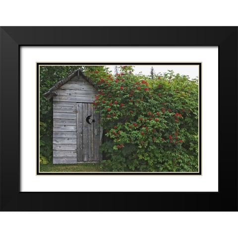 AK, Homer An outhouse with elderberries Black Modern Wood Framed Art Print with Double Matting by Flaherty, Dennis