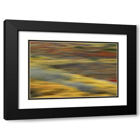 AK, Denali NP Abstract blur of autumn tundra Black Modern Wood Framed Art Print with Double Matting by Morris, Arthur